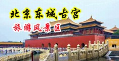 男鸡桶女视频下载中国北京-东城古宫旅游风景区